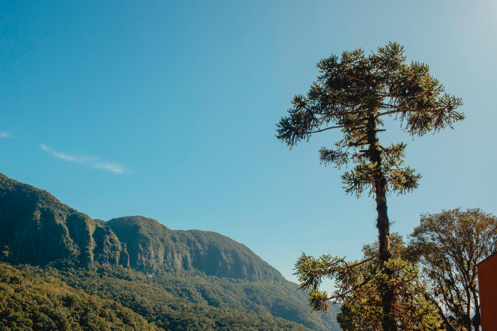 Pousada Bugio Da Serra Hotel Novo Horizonte  ภายนอก รูปภาพ